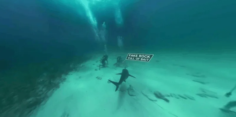 Discovery's Beautiful VR Projects - discovery gear vr